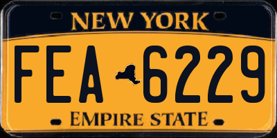 NY license plate FEA6229