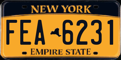 NY license plate FEA6231