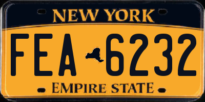 NY license plate FEA6232