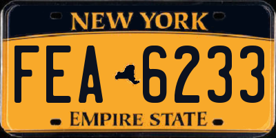 NY license plate FEA6233