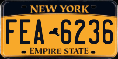 NY license plate FEA6236