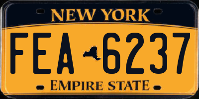 NY license plate FEA6237