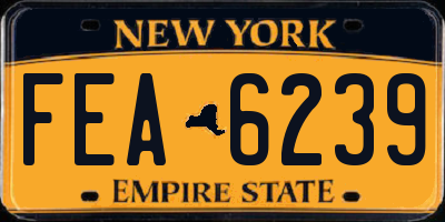 NY license plate FEA6239