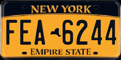 NY license plate FEA6244