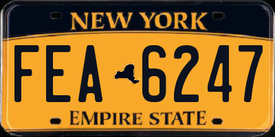 NY license plate FEA6247