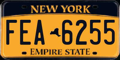 NY license plate FEA6255