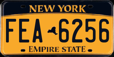 NY license plate FEA6256
