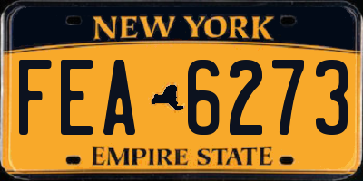 NY license plate FEA6273