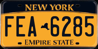 NY license plate FEA6285