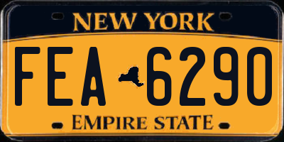 NY license plate FEA6290