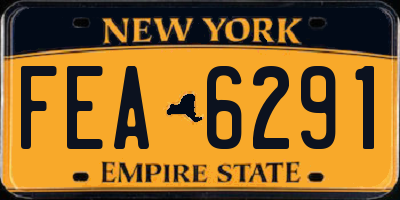 NY license plate FEA6291