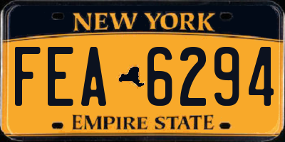 NY license plate FEA6294
