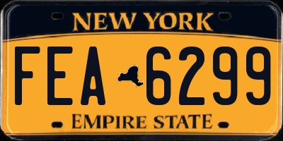 NY license plate FEA6299