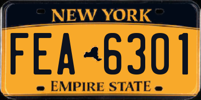 NY license plate FEA6301