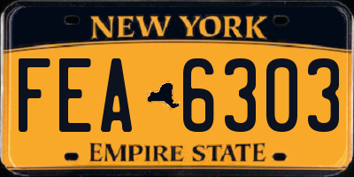 NY license plate FEA6303