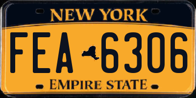 NY license plate FEA6306