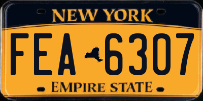 NY license plate FEA6307