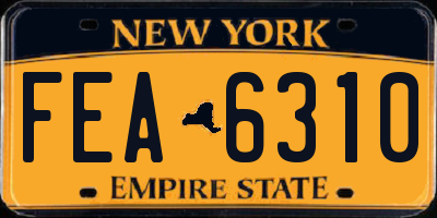 NY license plate FEA6310