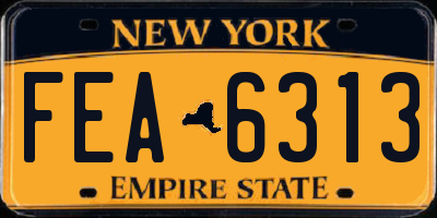 NY license plate FEA6313