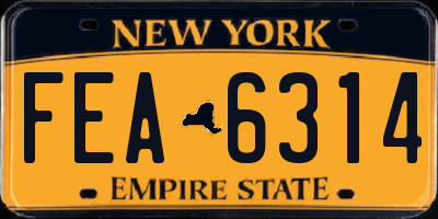 NY license plate FEA6314