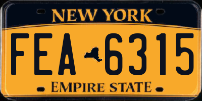 NY license plate FEA6315