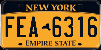 NY license plate FEA6316
