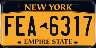 NY license plate FEA6317