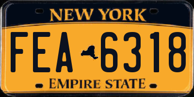 NY license plate FEA6318