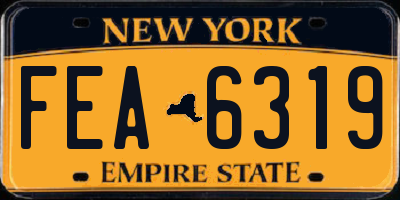 NY license plate FEA6319
