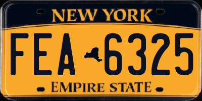 NY license plate FEA6325