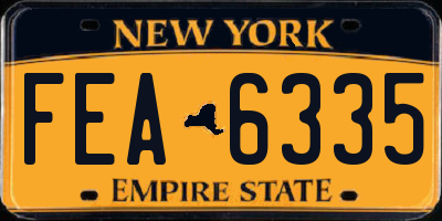 NY license plate FEA6335