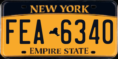 NY license plate FEA6340