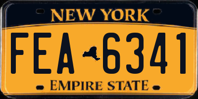 NY license plate FEA6341