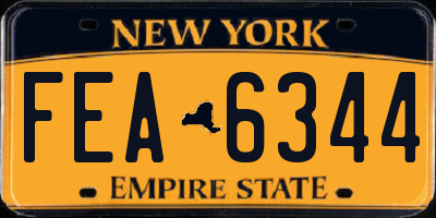 NY license plate FEA6344