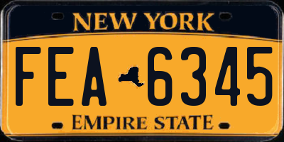 NY license plate FEA6345