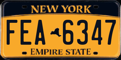 NY license plate FEA6347