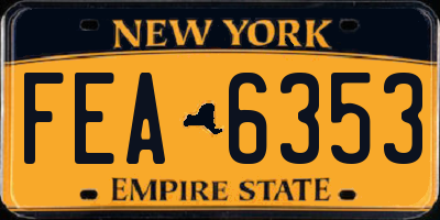 NY license plate FEA6353