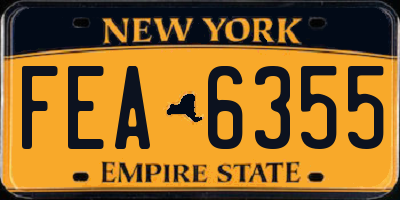 NY license plate FEA6355
