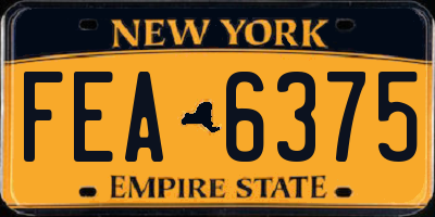 NY license plate FEA6375