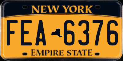 NY license plate FEA6376