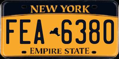 NY license plate FEA6380