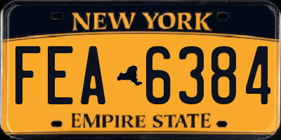 NY license plate FEA6384