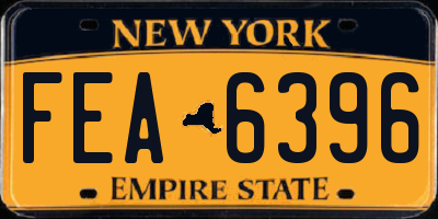 NY license plate FEA6396