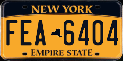 NY license plate FEA6404