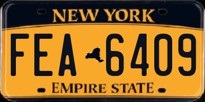 NY license plate FEA6409
