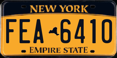 NY license plate FEA6410