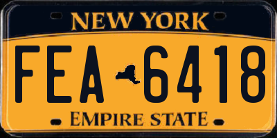 NY license plate FEA6418