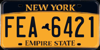 NY license plate FEA6421