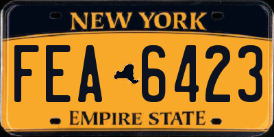 NY license plate FEA6423