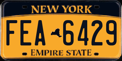NY license plate FEA6429